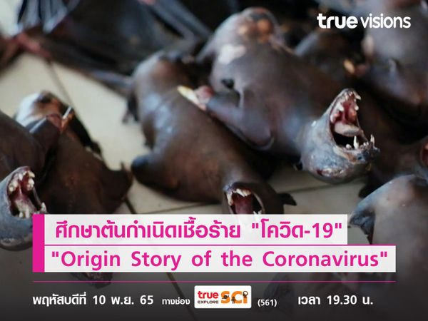 ศึกษาต้นกำเนิดเชื้อร้าย "โควิด-19" ไปกับสารคดี "The Origin Story of the Coronavirus"