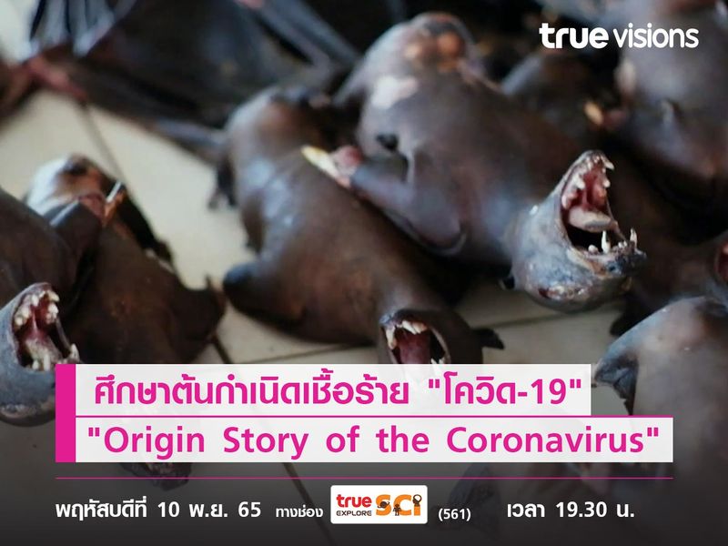 ศึกษาต้นกำเนิดเชื้อร้าย "โควิด-19" ไปกับสารคดี "The Origin Story of the Coronavirus"