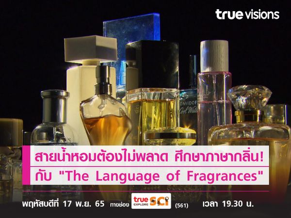 สายน้ำหอมต้องไม่พลาด ศึกษาภาษากลิ่น! ไปกับ "The Language of Fragrances"