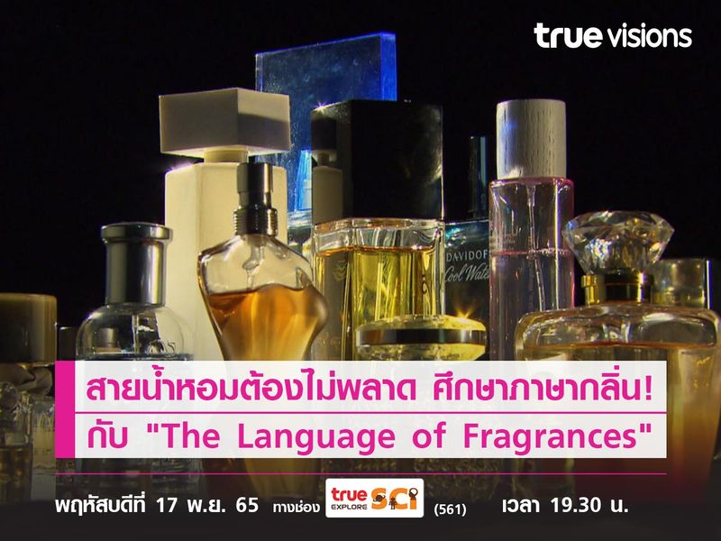 สายน้ำหอมต้องไม่พลาด ศึกษาภาษากลิ่น! ไปกับ "The Language of Fragrances"