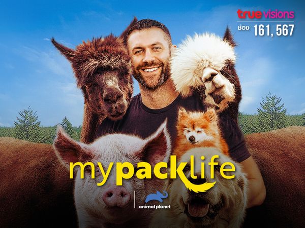 My Pack Life