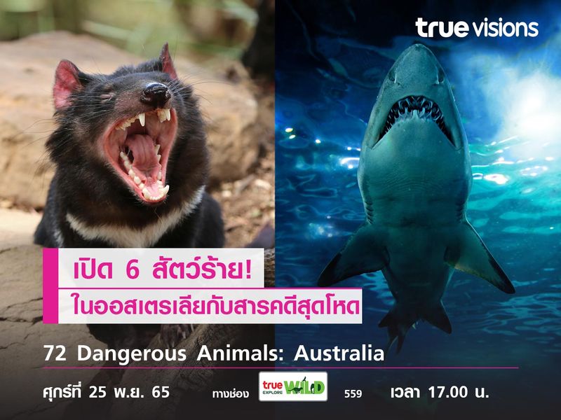 เปิด 6 สัตว์ร้าย! ในออสเตรเลียกับสารคดี "72 Dangerous Animals: Australia"