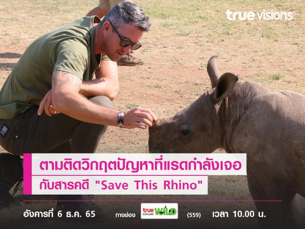 ก่อนแรดสูญพันธุ์... ตามติดวิกฤตปัญหาที่แรดกำลังเจอตอนนี้ กับสารคดี "Save This Rhino"