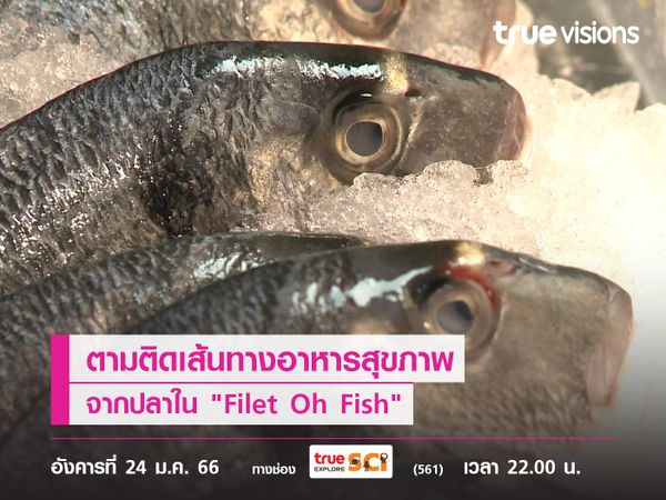 ตามติดเส้นทางอาหารสุขภาพจากปลาใน "Filet Oh Fish"