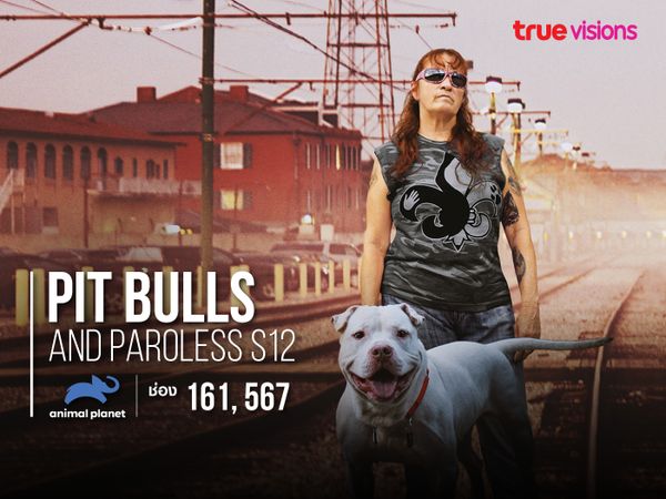 Pit Bulls and Paroless S12