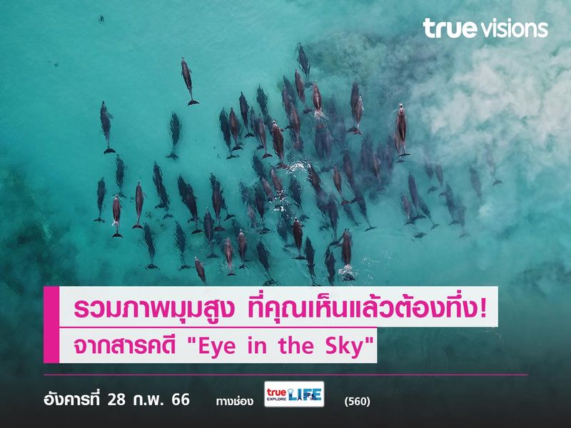 รวมภาพมุมสูง ที่คุณเห็นแล้วต้องทึ่ง! จากสารคดี "Eye in the Sky"