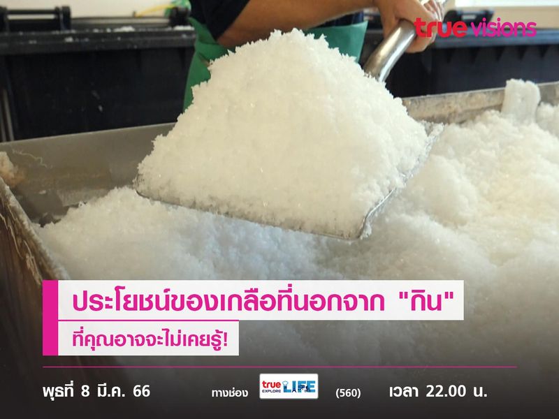 ประโยชน์ของเกลือที่นอกจาก "กิน" ที่คุณอาจจะไม่เคยรู้!