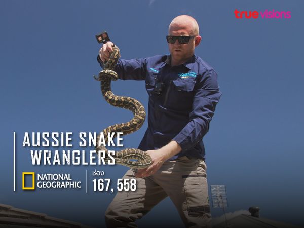 Aussie Snake Wranglers S1