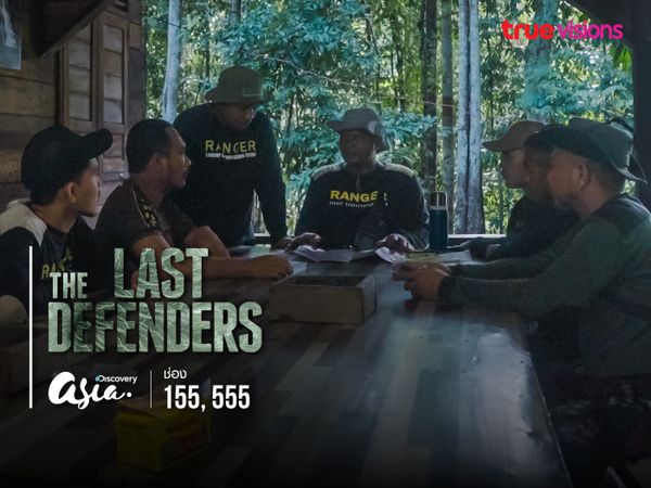 The Last Defenders