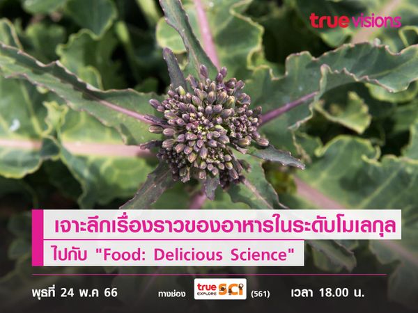 วิทยาศาสตร์แสนอร่อย! เจาะลึกเรื่องราวของอาหารในระดับโมเลกุลไปกับ "Food: Delicious Science"