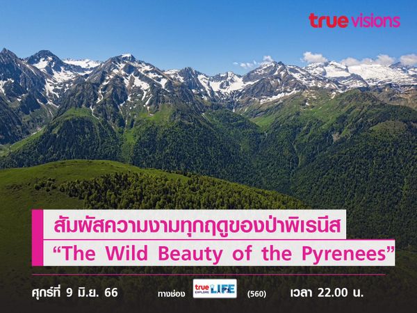 สัมผัสความงามทุกฤดูของป่าพิเรนีสใน “The Wild Beauty of the Pyrenees”