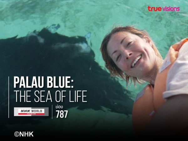Palau Blue: The Sea of Life