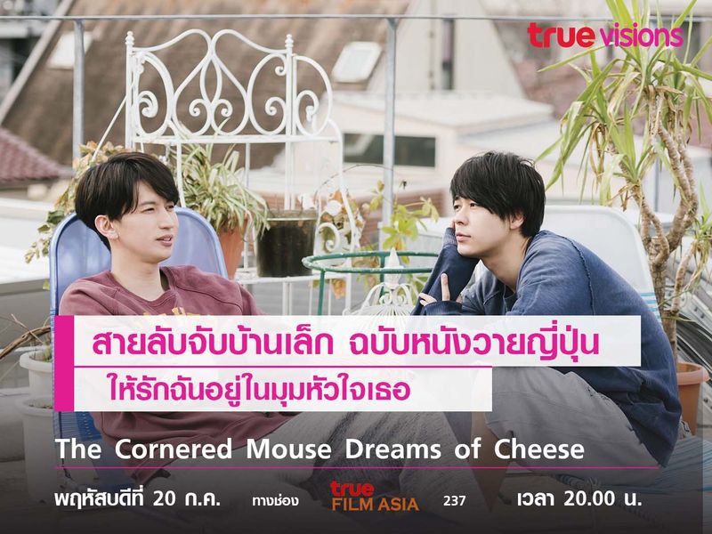 สายลับจับบ้านเล็กฉบับวาย  "The Cornered Mouse Dreams of Cheese" 
