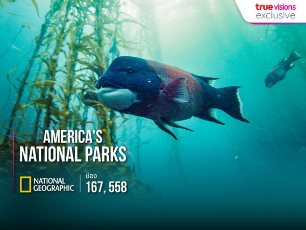 America’s National Parks S2