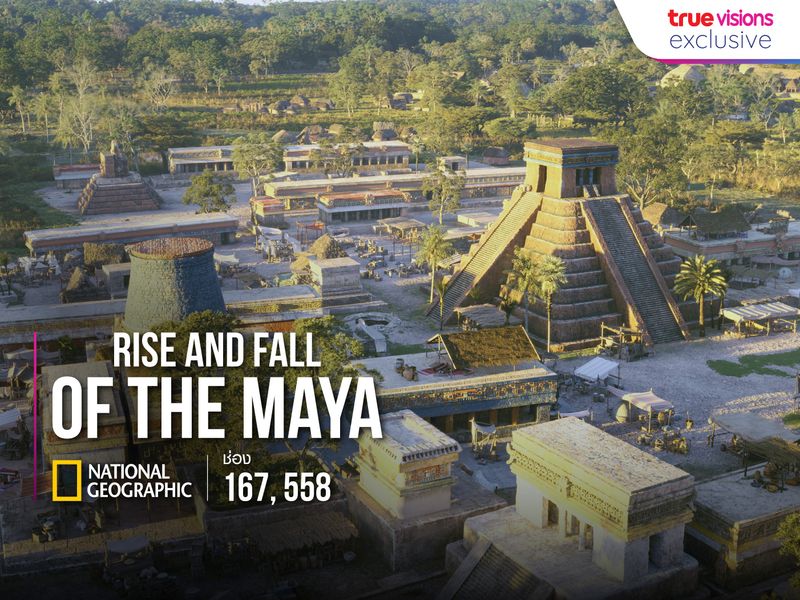 Rise and Fall of the Maya