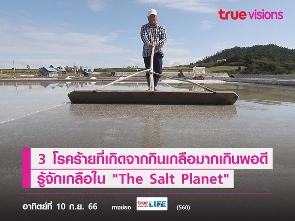 3 โรคร้ายที่เกิดจากกินเกลือมากเกินพอดี  รู้จักเกลือใน "The Salt Planet"