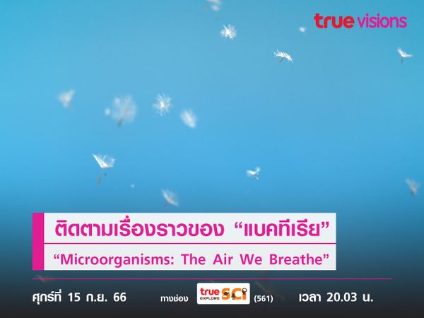 ติดตามเรื่องราวของ “แบคทีเรีย” ที่ลอยในอากาศ ใน “Microorganisms: The Air We Breathe”