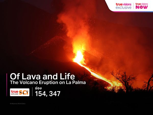 Of Lava and Life - The Volcano Eruption on La Palma