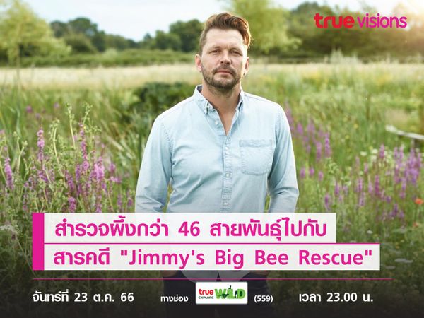 สำรวจผึ้งกว่า 46 สายพันธุ์ไปกับ สารคดี "Jimmy's Big Bee Rescue" 