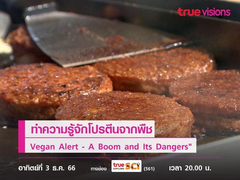 ทำความรู้จักโปรตีนจากพืช ไปกับ Vegan Alert - A Boom and Its Dangers" 