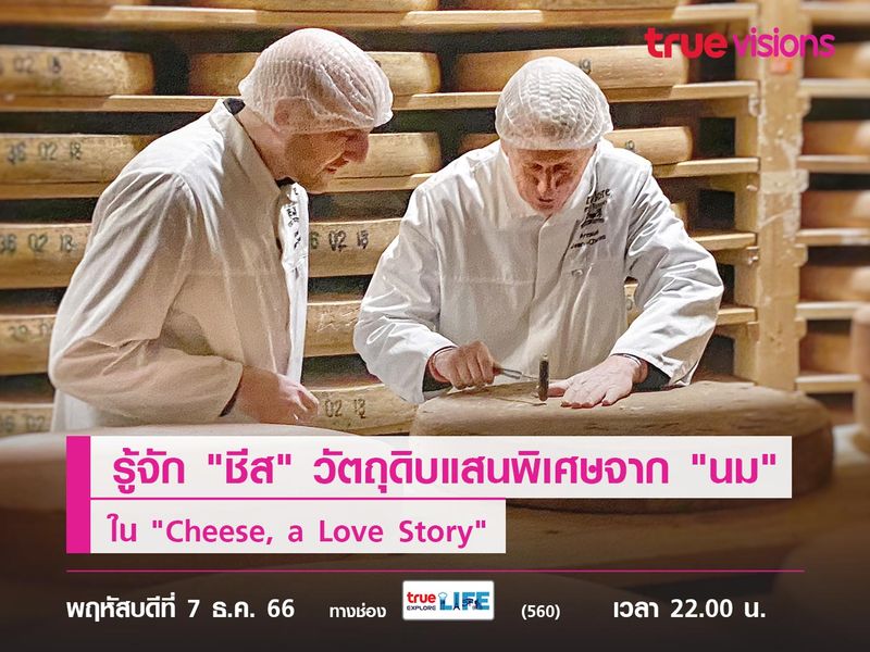 ทำความรู้จัก "ชีส" วัตถุดิบแสนพิเศษจาก "นม" ใน "Cheese, a Love Story"