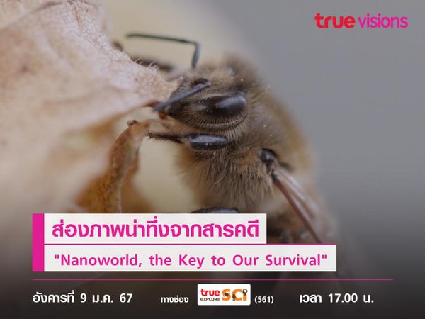 ส่องภาพน่าทึ่งจากสารคดี "Nanoworld, the Key to Our Survival"