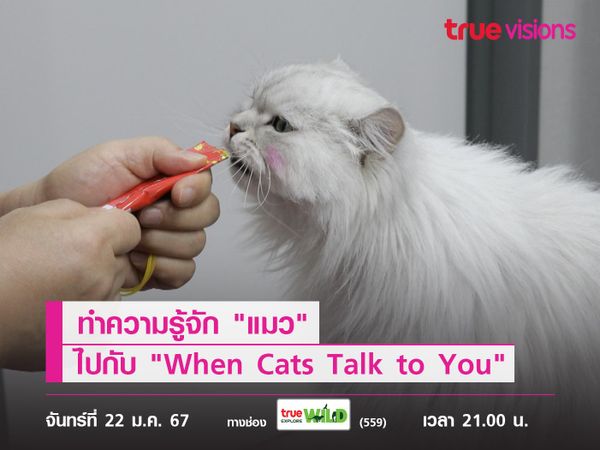 ทำความรู้จัก "แมว" ไปกับ "When Cats Talk to You" 