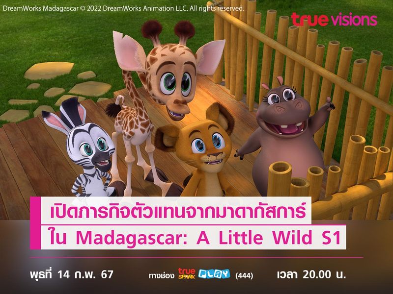 เปิดภารกิจตัวแทนจากมาดากัสการ์ใน Madagascar: A Little Wild S1