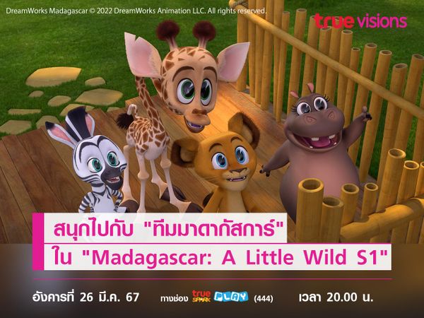 สนุกไปกับ "ทีมมาดากัสการ์" ใน "Madagascar: A Little Wild S1"