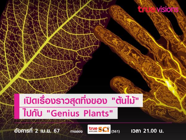 เปิดเรื่องราวสุดทึ่งของ "ต้นไม้" ไปกับ "Genius Plants"
