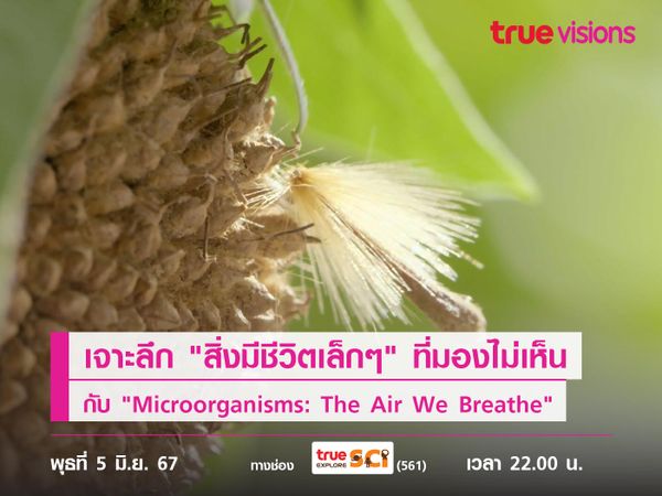 เจาะลึกเรื่องราว "สิ่งมีชีวิตเล็กๆ" ที่มองไม่เห็น ไปกับ "Microorganisms: The Air We Breathe"