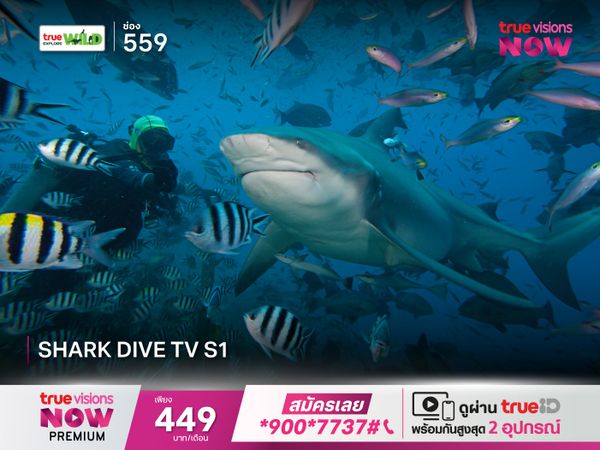 Shark Dive TV S1