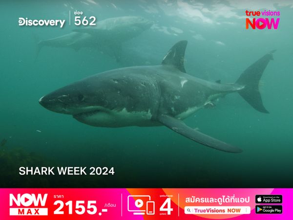 Shark Week 2024