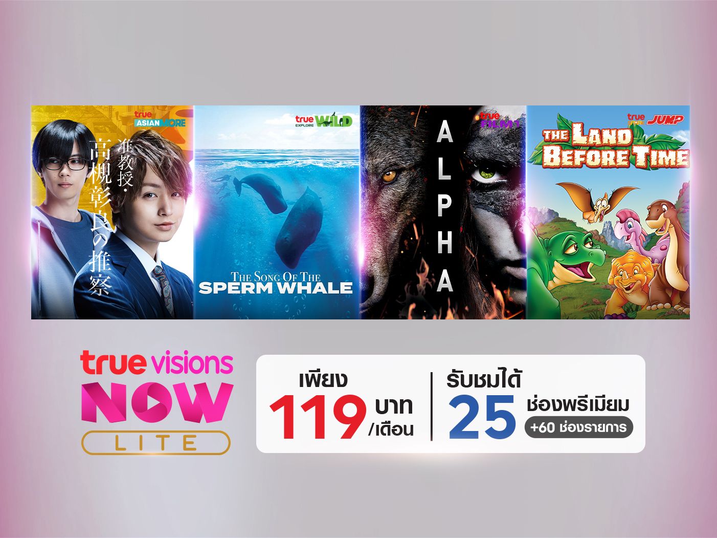 TrueVisions NOW LITE