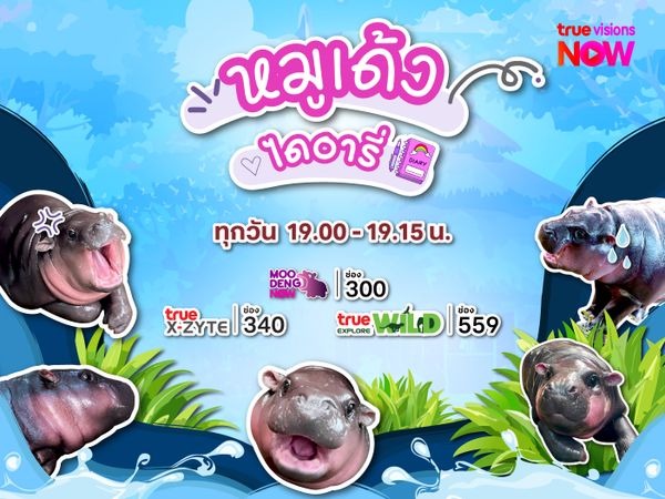 เปิดตัวรายการใหม่ หมูเด้งไดอารี่!