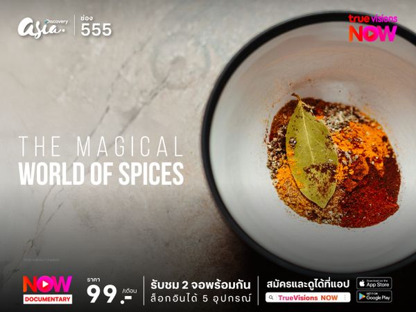 The Magical World of Spices