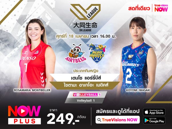 พรีวิว : เดนโซ แอร์รี่บีส์ (4) พบ ไซตามะ อาเกโอะ เมดิคส์ (5)