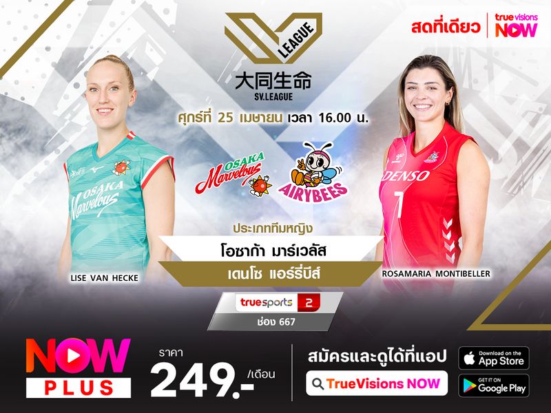 พรีวิว เอสวี ลีก 2024/2025(รอบรองชนะเลิศ เกม 1) : โอซาก้า มาร์เวลัส (1) พบ เดนโซ แอร์รี่บีส์ (4) 