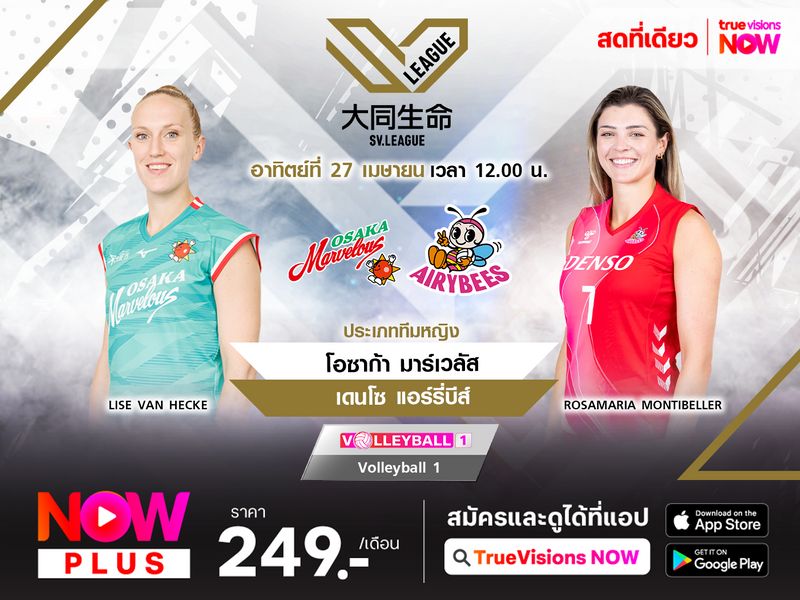 พรีวิว เอสวี ลีก 2024/2025 (รอบรองชนะเลิศ เกม 3) : โอซาก้า มาร์เวลัส (1) พบ เดนโซ แอร์รี่บีส์ (4)  