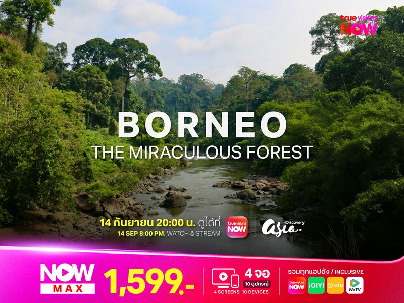 Borneo – The Miraculous Forest