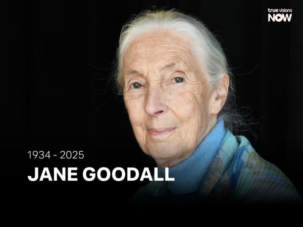 โลกอาลัย 'เจน กูดดอลล์' นักอนุรักษ์ระดับตำนานเสียชีวิตแล้วด้วยวัย 91 ปี