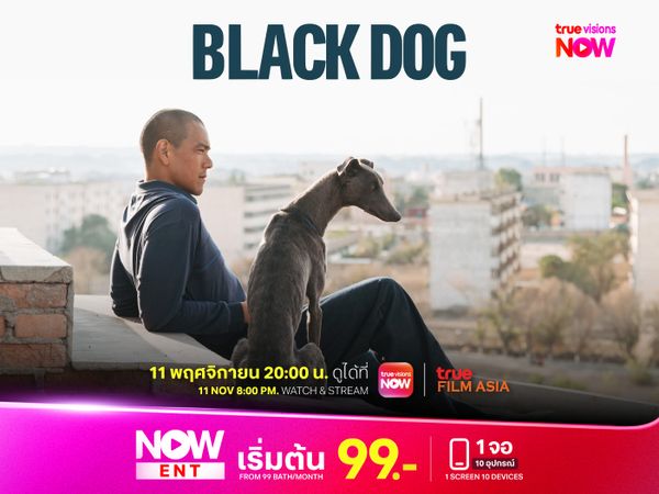 Black Dog สี่ขาหัวใจไม่ดำ