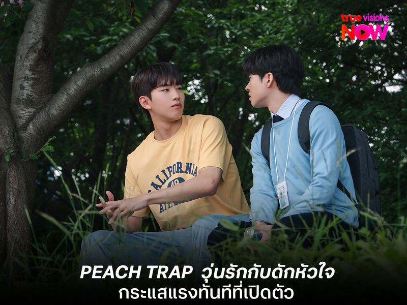 PEACH TRAP วุ่นรักกับดักหัวใจ กระแสแรงทันทีที่เปิดตัว