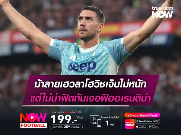 ม้าลายเฮวลาโฮวิชเจ็บไม่หนัก แต่ไม่น่าฟิตทันเจอฟิออเรนติน่า