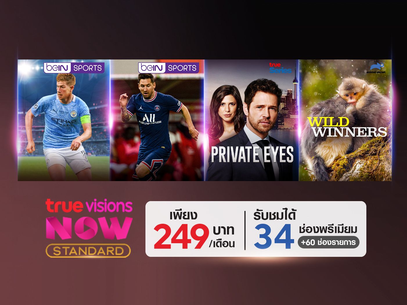 TrueVisions NOW STANDARD