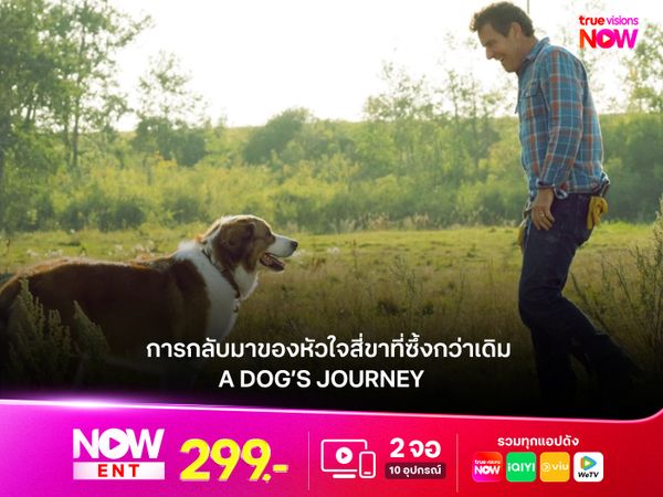 รีวิว A Dog’s Journey (2019) การกลับมาของหัวใจสี่ขาที่ซึ้งกว่าเดิม