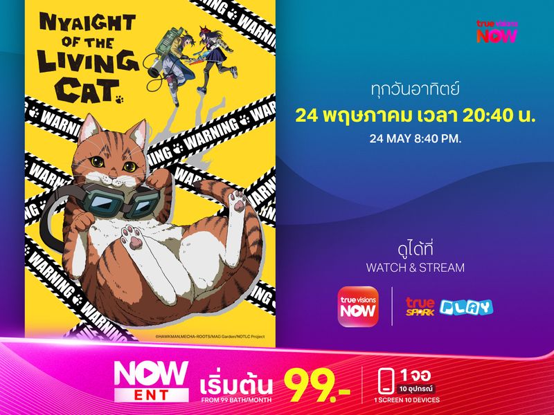 Nyaight of the Living Cat