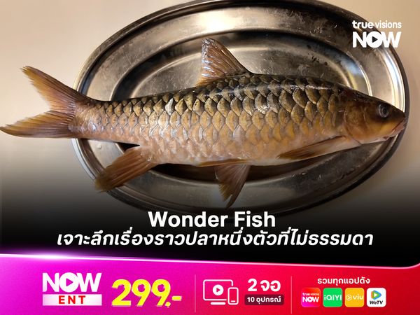 Wonder Fish เจาะลึกเรื่องราวปลาหนึ่งตัวที่ไม่ธรรมดา