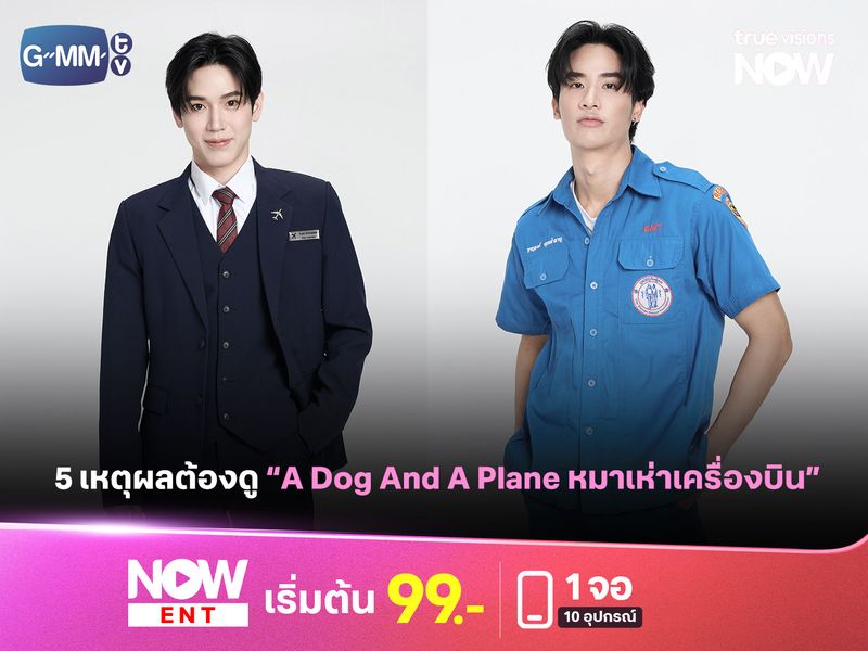 เหตุผลทำไมต้องไม่พลาด ซีรีส์ "หมาเห่าเครื่องบิน"