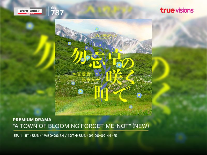 Premium Drama "A Town of Blooming Forget-Me-Not" (New)